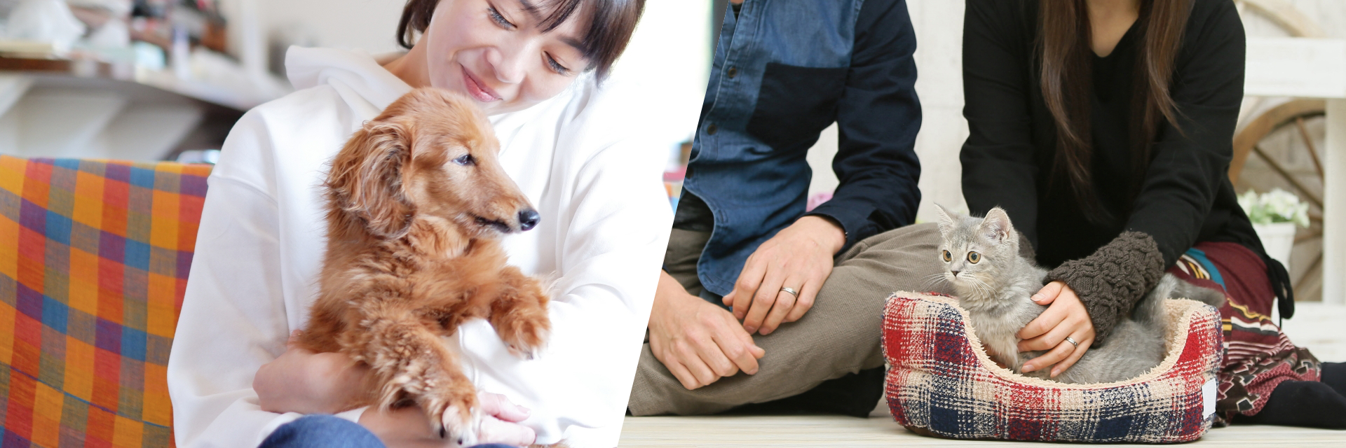 メインビジュアル